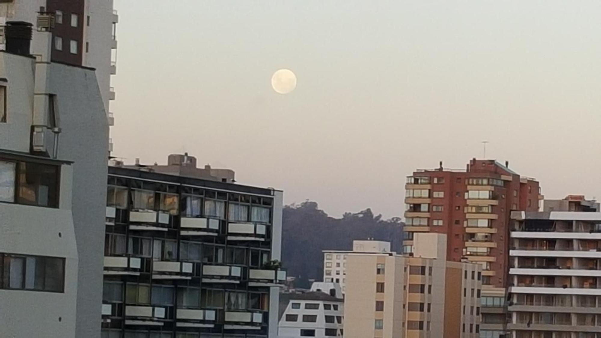 Edificio Maya 비냐델마르 객실 사진